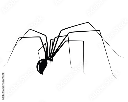 Minimalist illustration of a spider, symbolizing fear or Halloween. Clean, modern design ideal for web use, infographics or spooky themed graphics. Editable vector.