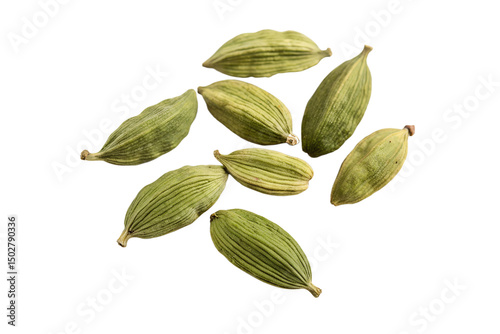 Cardamom Pods Isolated on Transparent Background