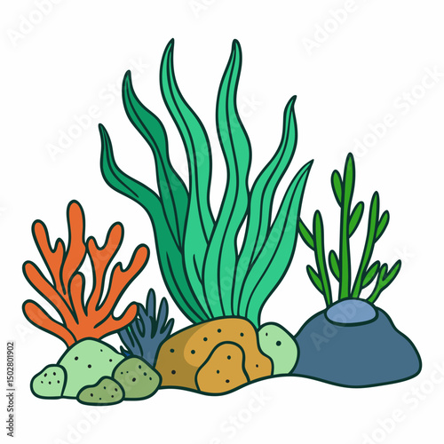 seaweeds stones corals vector illustration	