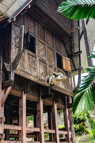 Tongkonan, the traditional house of the Toraja tribe in South Sulawesi. In addition to residence, Tongkonan is also used as a place for ceremonies. made from 10 years old aru wood. photo