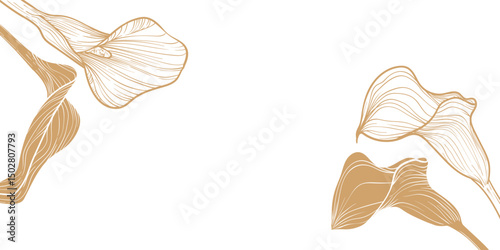 Abstract floral background with golden line art calla lilies. Hand drawn calla lily banner with flower frame, border. Vector design of card, banner, invitation, advertising and packaging