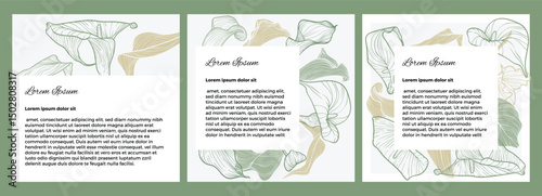 Minimalist social media post template featuring elegant Calla Lily line art with green and beige accents. Perfect for branding, announcements, or stylish floral content layouts.