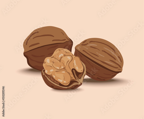 Closeup of Walnuts Shells and Kernels