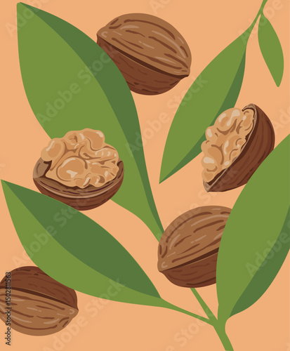 Exquisite Walnut and Lush Green Leaves   Nature’s Elegant Bounty
