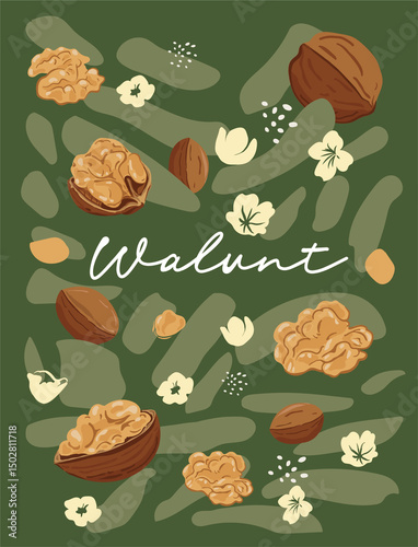 Colorful Hand Drawn Walnut and Leaf Illustration – Healthy Food Design