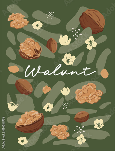 Colorful Hand Drawn Walnut and Leaf Illustration – Healthy Food Design