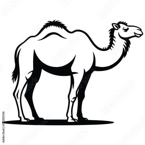 camel in the desert