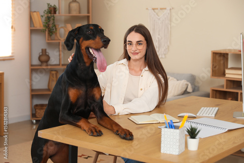 Cute Doberman dog and beaut...