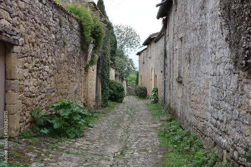 Vieille rue typique, village de Saint Macaire, département de la Gironde, France photo