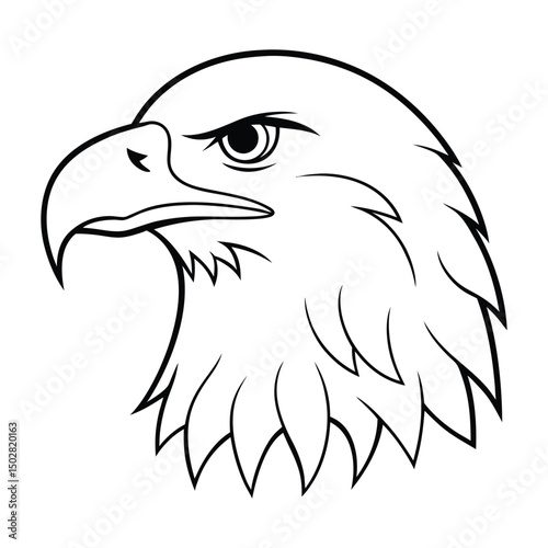 eagle head vector illustration