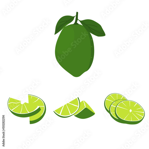Lime Vector Set – Flat Style Illustration of Whole, Sliced, and Halved Key Limes with Citrus Wedges | Pro Vector