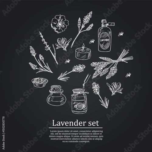 Lavender hand drawn doodle set. Vector illustration. Isolated elements on white background. Symbol collection.