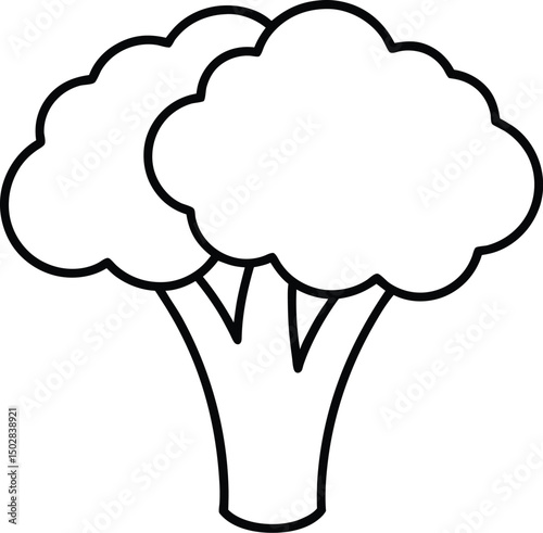 vector illustration of  broccoli