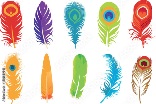 Colorful feather illustrations in watercolor style.