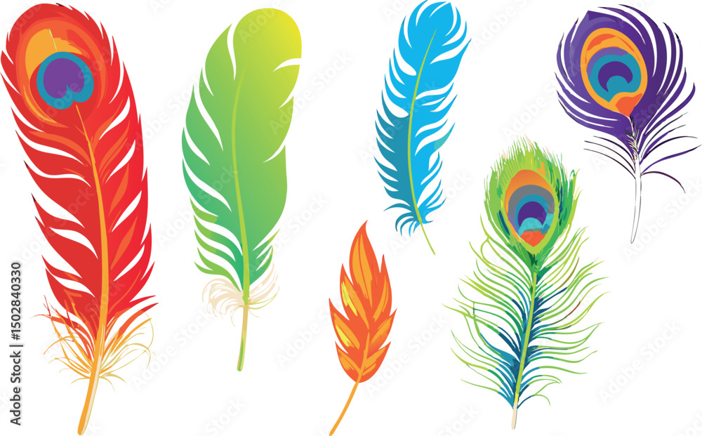 Obraz premium Vector feathers set, no background.