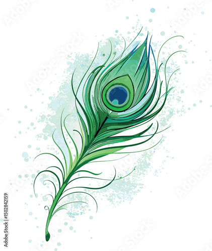 Rainbow feather on white, artistically painted.