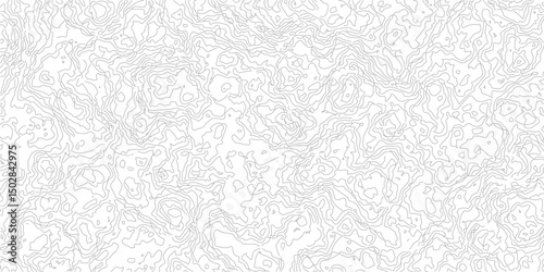 Black and white landscape geographic pattern.Topography and geography map grid abstract backdrop.The stylized height of the topographic map in contour, lines. creative cartography.