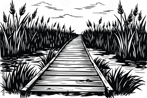 Wooden boardwalk through marsh reeds under a cloudy sky illustration