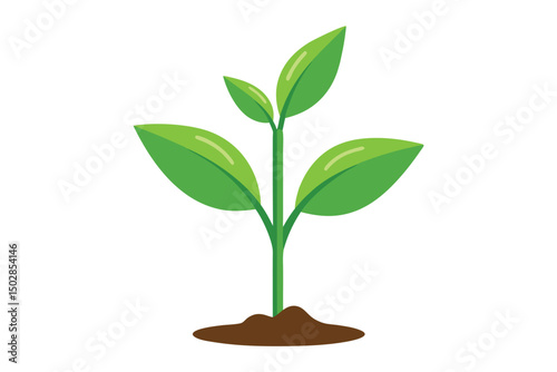 Small green plant seedling isolated on white background