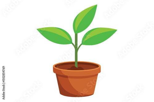 Small green plant seedling isolated on white background