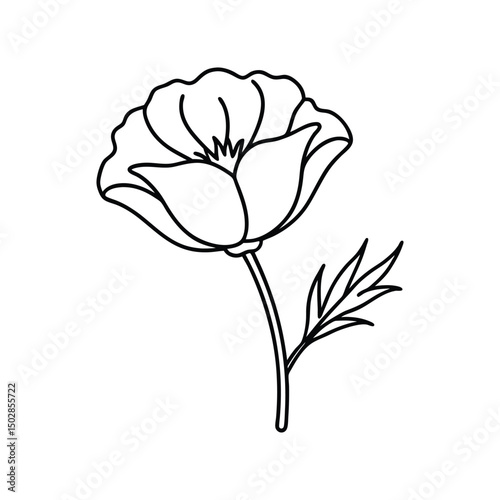 California poppy flower line art on white background vector illustration