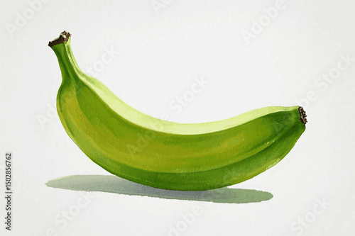 Unripe Arcs in Mist green banana isolated watercolor vector illustration svg