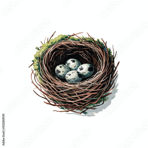 hand drawn vintage bird nest logo design 