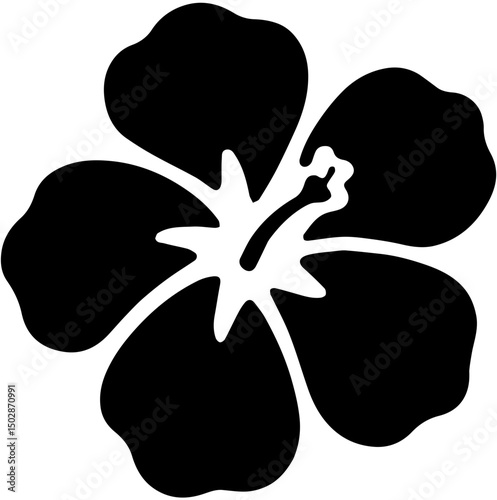 black and white hibiscus 