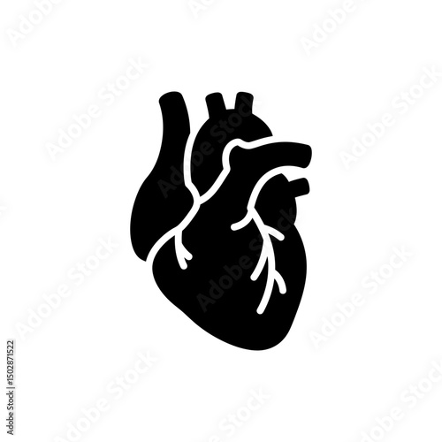 Top View of Heart Atrium Chamber Medical Image