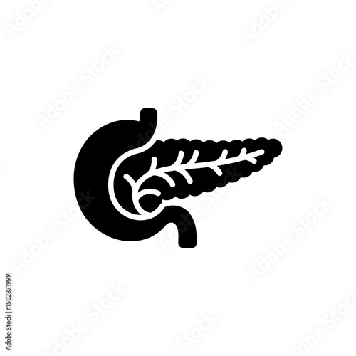 Flat shape of pancreas with visible ducts anatomy diagram