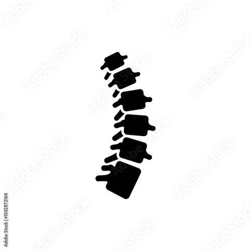 Spinal cord with vertebrae anatomy medical icon