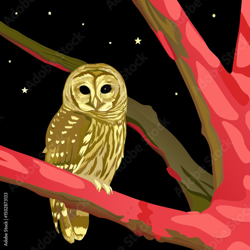 Detailed vector illustration of a Barred Owl (Strix varia), showcasing its distinctive barred plumage and expressive features