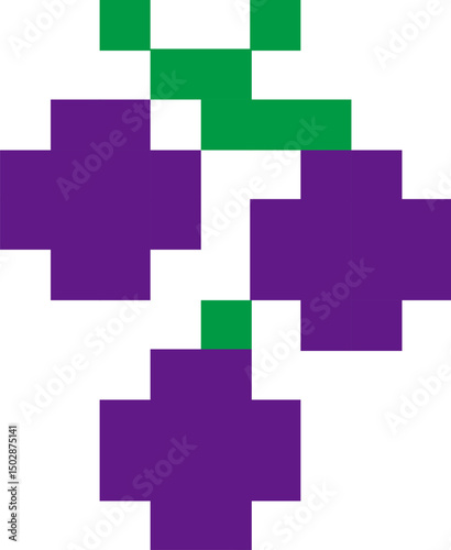 grape illustration on a white background   