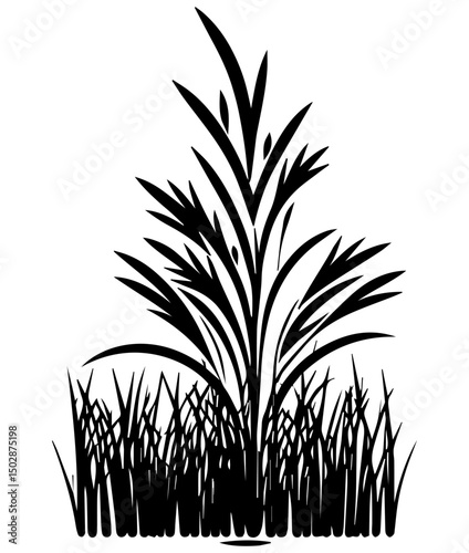 grass leaf plant 2 illustration on a white background   