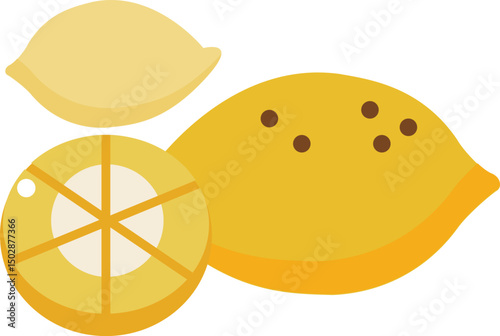 lemon   illustration on a white background   