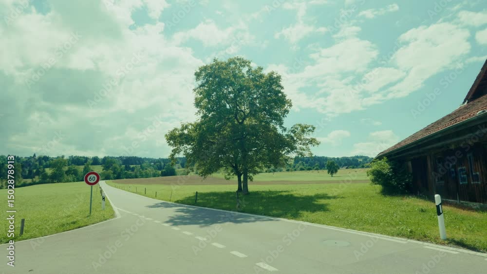 Sanfte Naturvideos zeigen grüne Felder, rauschende Bäume und einen weiten, blauen Himmel mit ziehenden Wolken – eine beruhigende Kulisse voller Leben, Licht und natürlicher Harmonie.