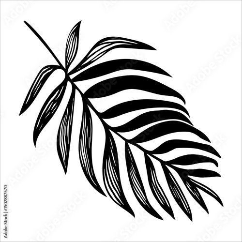 Black and white tropical palm leaf vector element isolated on white background. Perfect for create fashion apparel fabric, trendy package, bedding, wallpaper, accessories, outerwear, cloth textile.