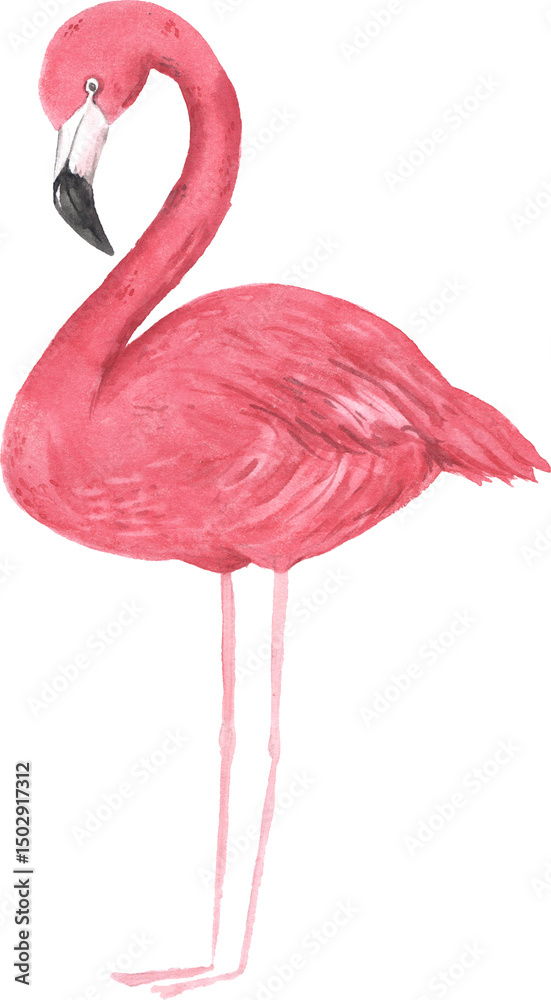 Naklejka premium Watercolor hand painted tropical pink flamingo bird. Bright jungle exotic clip art perfect for summer wedding invitation and party card making