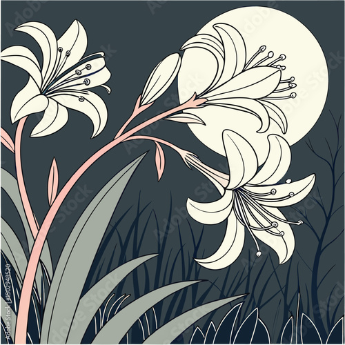 backgrounds, horizontal, no people, photography, springtime, color image, germany, tulip, beauty in nature, flower, flower arrangement, leaf, nature, red, web banner, green color, pink color, border -