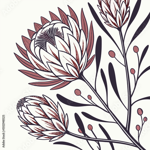 backgrounds, horizontal, no people, photography, springtime, color image, germany, tulip, beauty in nature, flower, flower arrangement, leaf, nature, red, web banner, green color, pink color, border -