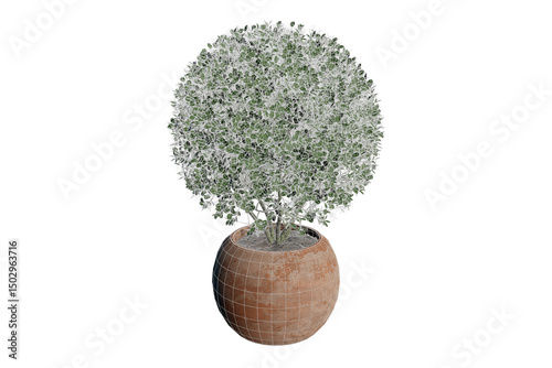 Potted Boxwood Shrub 3D Model