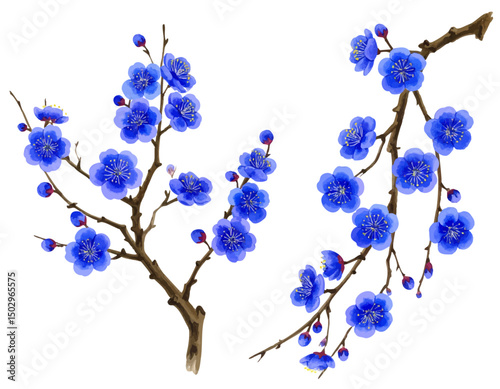 青い花の咲く枝のイラスト素材