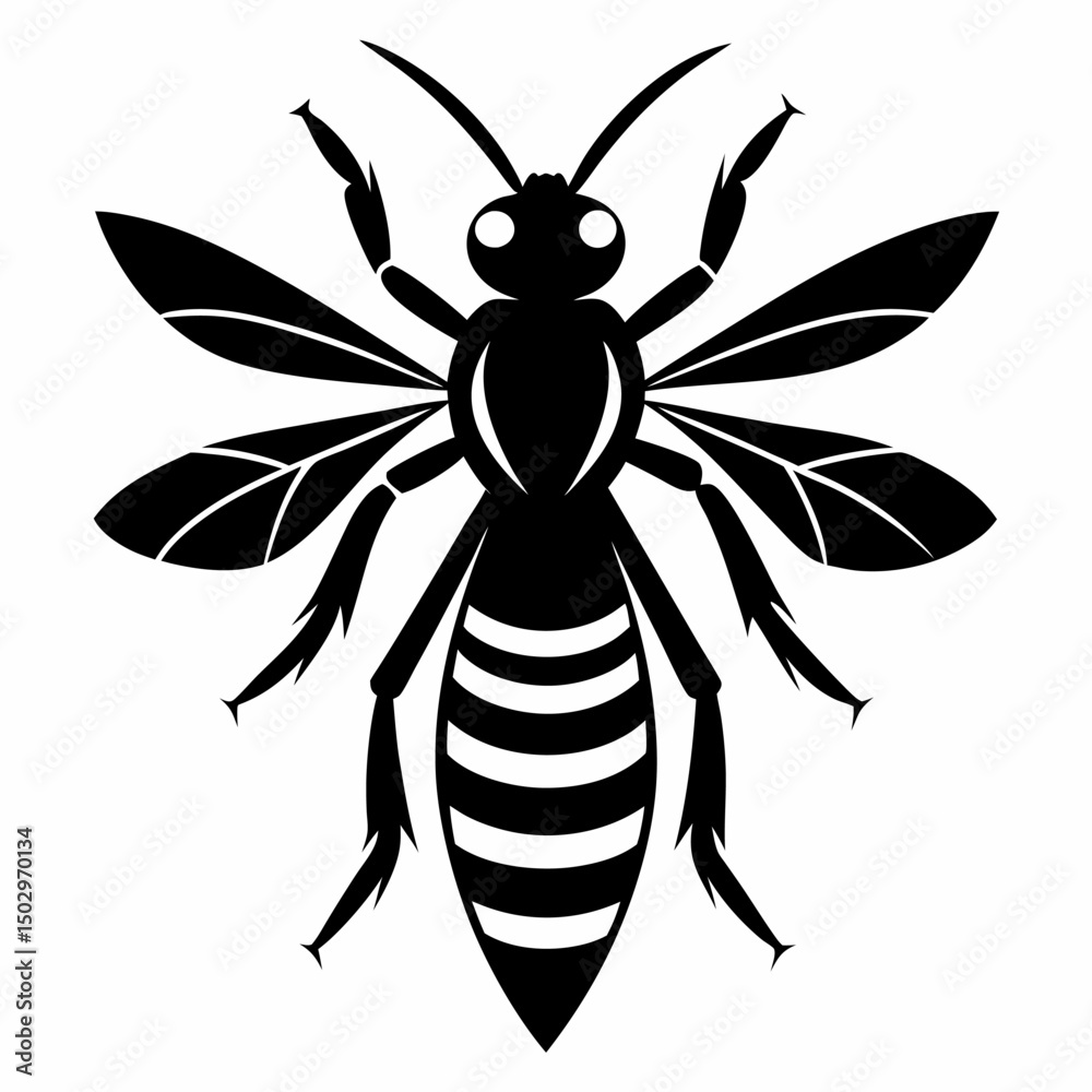Cartoon vector illustration of a cute black and white insect beetle and wasp design Cartoon vector illustration of a cute black and white insect beetle and wasp design