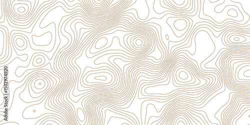  Topography wave line grid map. white wave line geography landscape Topo contour map on white background. Geographic mountain relief diagram line wave carve pattern.