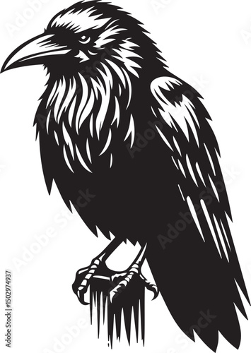 Simple black vector of a perched raven with a mysterious gaze.