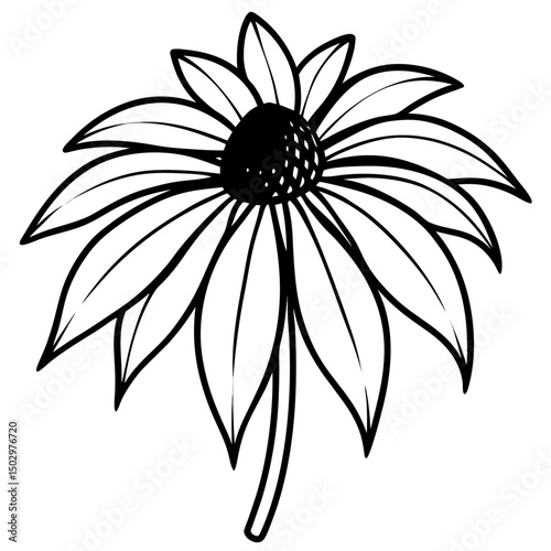 black and white coneflower line art