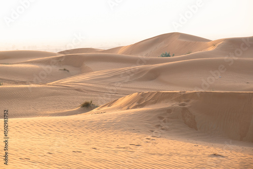Expansive view of golden sand dunes in a serene desert environment, with gentle slopes and soft curves creating a peaceful and natural scene, ideal for travel and nature themes photo