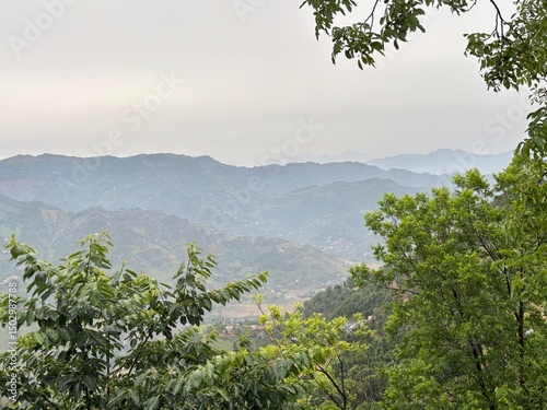  Green Himalayan Hillside Forest View Jammu 