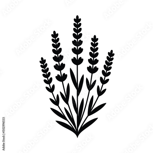 Elegant Lavender Silhouette Art & Illustration