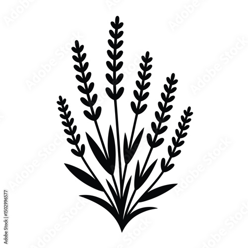 Elegant Lavender Silhouette Art & Illustration